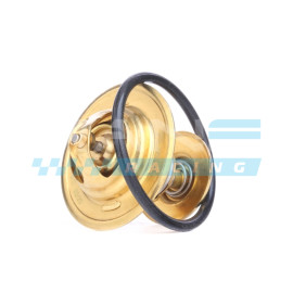 MANF RACING Termostato de Refrigeração 75º 1.9 8V TDI