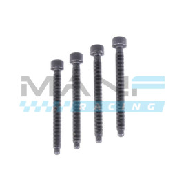 OEM Pack 4 Injectors Bolts 1.9/2.0TDI 8V PD