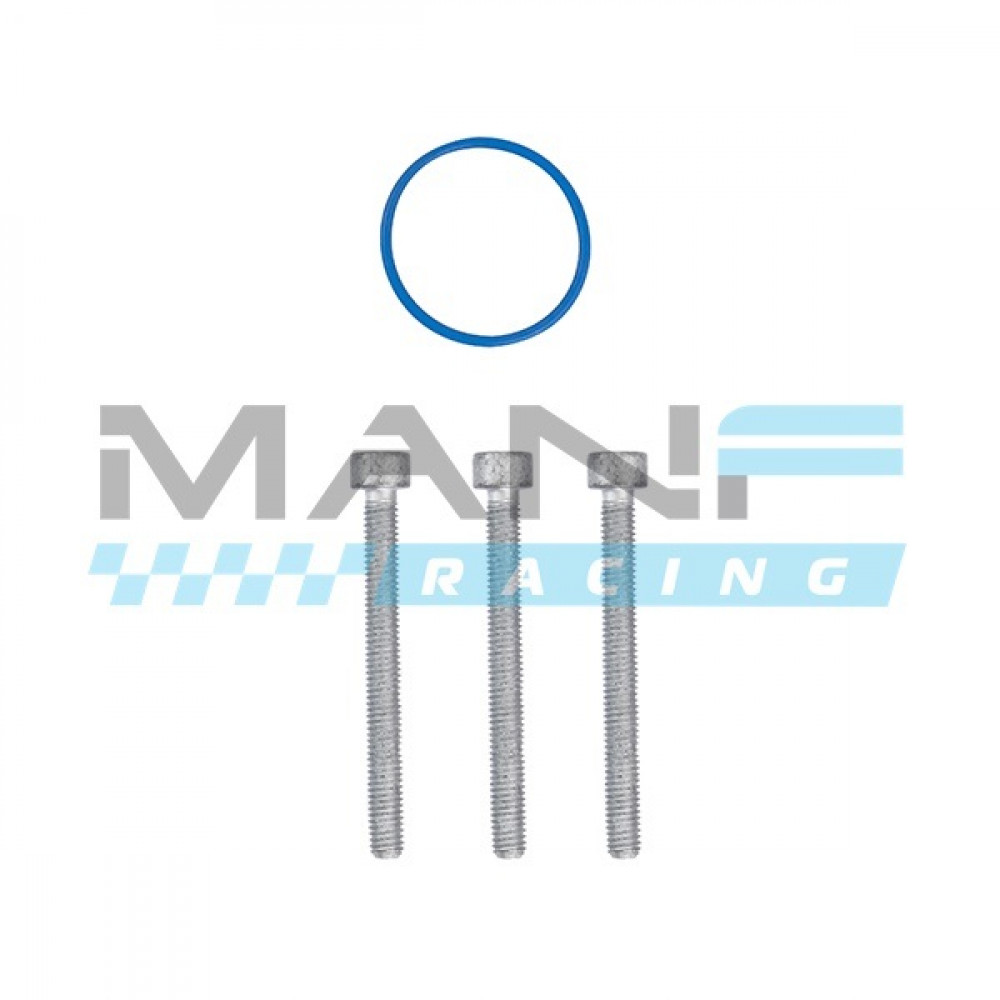 OEM VAG KIT O-RING E PARAFUSOS BOMBA DE ALTA PRESSÃO 2.0TFSI EA113